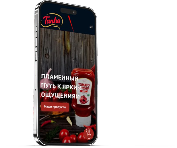 Tanho — деталь проекта 1